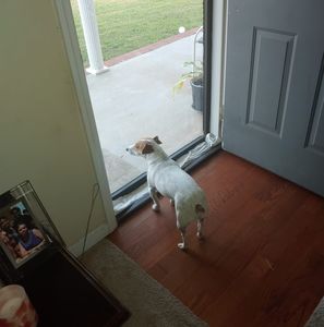 Meet your Posher, Gary